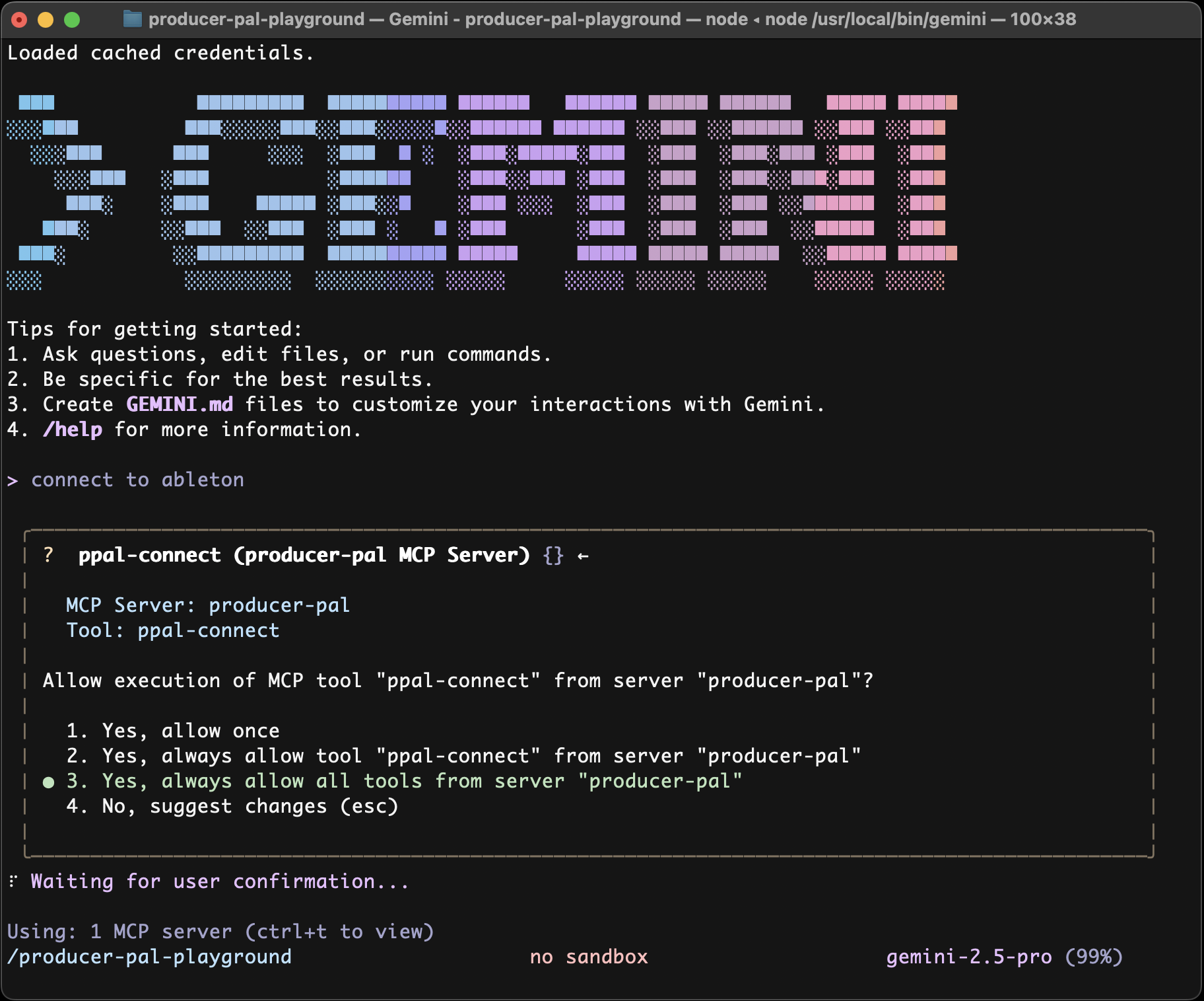Gemini CLI tool permission prompt