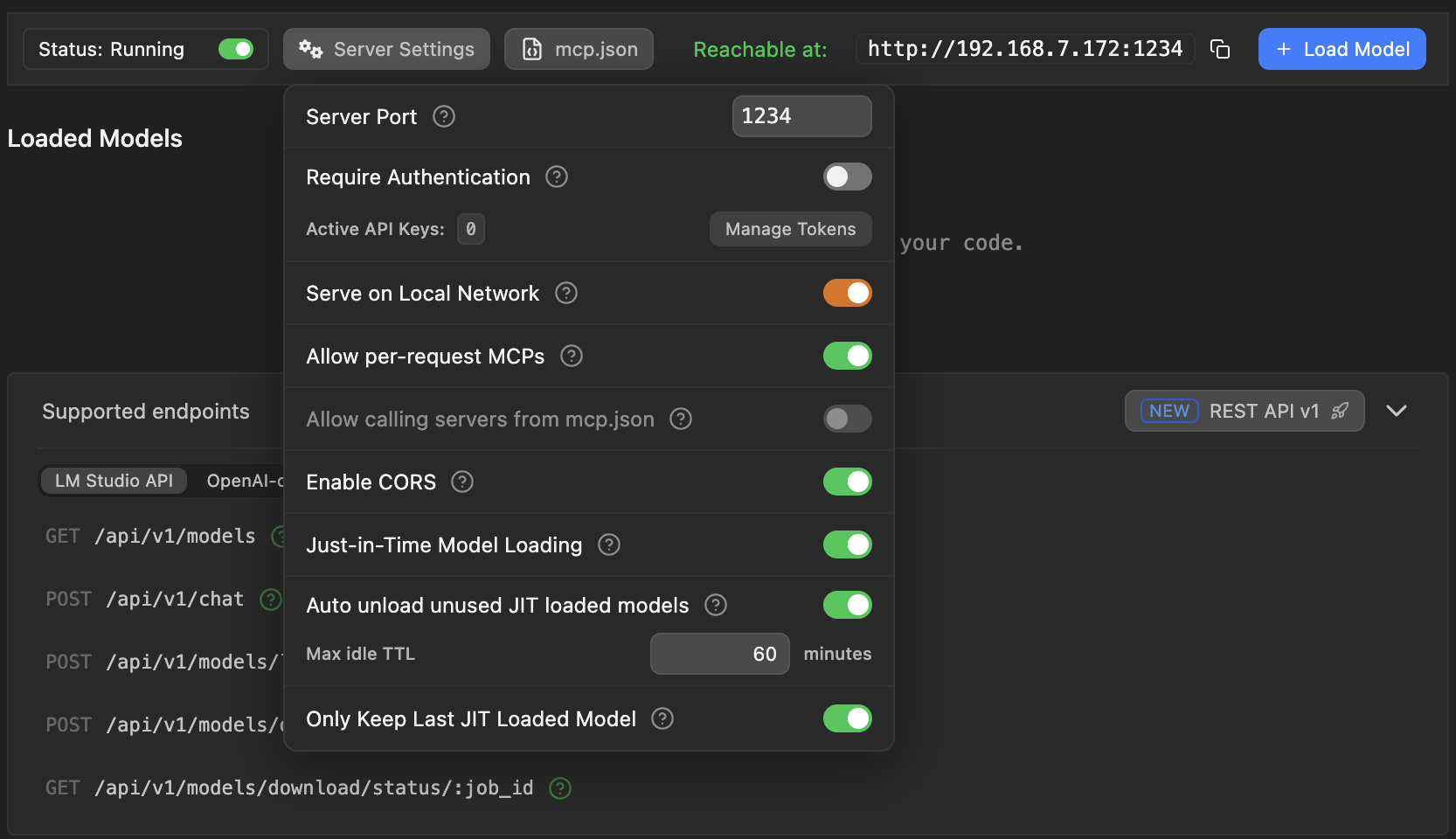 LM Studio server settings